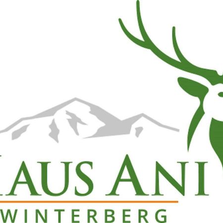Haus Ani Winterberg Vila Exterior foto