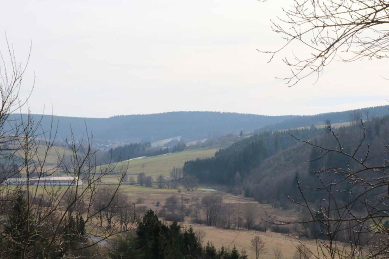 Haus Ani Winterberg Vila Exterior foto